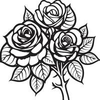 Rose Blume Clip Art schwarz Weiß Bilder. Hand gezeichnet Rosen. skizzieren Rose Blumen mit Blätter vektor