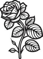 Rose Blume Clip Art schwarz Weiß Bilder. Hand gezeichnet Rosen. skizzieren Rose Blumen mit Blätter vektor