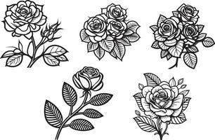 reste sig blomma ClipArt svart vit bilder. hand dragen rosor. skiss reste sig blommor med löv vektor