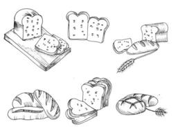 Hand gezeichnet Brot und Weizen Illustration vektor