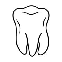 Molar Zahn linear Gekritzel Symbol. Zahn Schmerz, Gummi Problem, Dental Behandlung, Dental Pflege, Weisheit Zahn, Entfernung von ein Zahn Konzept. vektor