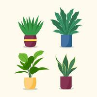 dekorativ växter platt design. vektor illustration
