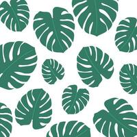 Monstera Blatt Hintergrund Vektor Illustration