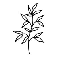söt gren med löv isolerat på vit bakgrund. vektor ritad för hand illustration i klotter stil. perfekt för kort, logotyp, dekorationer, olika mönster. botanisk ClipArt.