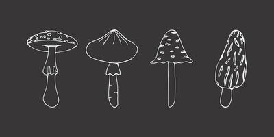 uppsättning av giftig svamp. klotter. vektor illustration isolerat på mörk bakgrund. murkla, flyga agaric, paddsvamp. annorlunda typer i de stil av linje konst.