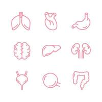 mänsklig inre organ ikon uppsättning. lungor, njurar, hjärna, hjärta, lever, öga, blåsa, tarmar, mage. för appar och webbplatser. vektor illustration på vit bakgrund. infografik. avgörande organ.