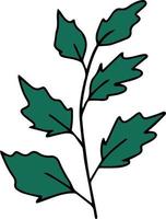 Gekritzel grüner Zweig mit Blättern vektor