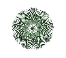 tropisk löv växt isolerat ikon vektor illustration design vektor illustration design, två handflatan löv är visad på en vit bakgrund