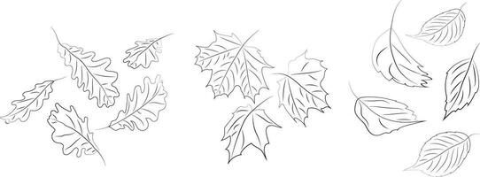 linje konst. höst löv. hög kvalitet vektor illustration.