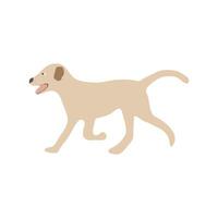 Hund Symbol im eben Farbe Stil. Haustier Tier Vektor Illustration auf Weiß isoliert Hintergrund