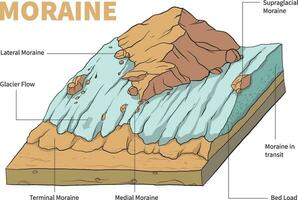 illustration av morän diagram vektor