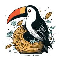 toucan fågel i bo. vektor illustration i hand dragen stil.