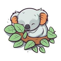 söt koala sovande på en träd gren. vektor illustration.