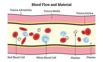 Blut fließen und Material Wissenschaft Design Vektor Illustration