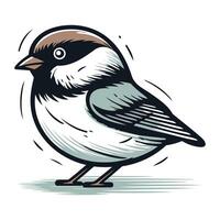 vektor illustration av en svart capped chickadee fågel.