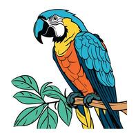 papegoja Sammanträde på en gren. vektor illustration i tecknad serie stil.