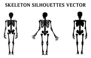 uppsättning av skelett vektor för halloween, skelett silhuetter isolerat på en vit