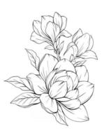 magnolia blomma kontur magnolia linje konst ritning vektor