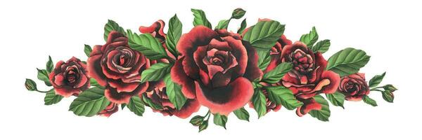 rot schwarz Rose Blumen mit Grün Blätter und Knospen, schick, hell, schöne. Hand gezeichnet Aquarell Illustration. isoliert Komposition auf ein Weiß Hintergrund, zum Dekoration und Design vektor