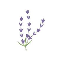 Lavendel Logo Symbol isoliert Vektor Illustration.