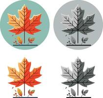 Herbst Wald Ahorn Blatt im anders Stil Vektor Illustration, einstellen von Wald Ahorn Blätter im anders Farben Lager Vektor Bild, Logo Symbol Symbol Vorlage