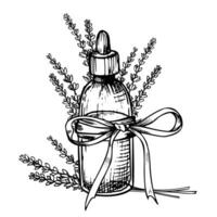 Lavendel wesentlich Öl. Hand gezeichnet Aquarell Illustration von Jahrgang Flasche zum Aromatherapie auf Weiß isoliert Hintergrund. Zeichnung von alt Flakon mit Blumen zum kosmetisch oder Alternative Medizin vektor