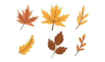 Herbst Blätter Logo Vektor Bild