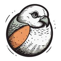 Illustration von ein Vogel mit ein Orange Schnabel auf ein Weiß Hintergrund vektor