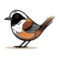 chickadee fågel isolerat på vit bakgrund. vektor illustration.