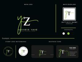 Jahrgang yz Unterschrift Logo, Luxus yz Logo Symbol Vektor Kreis Design