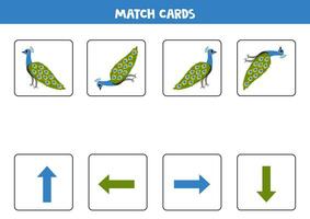 links, Rechts, oben oder runter. räumlich Orientierung mit süß Pfau. vektor
