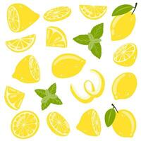 uppsättning av hand dragen hela, halv, skivad citron. vektor illustration av färsk gott citrus- frukt och mynta för ikon, logotyp, webb design, förpackning, kort, skriva ut