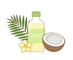 flaska av kokos olja och kokosnöt halv vektor