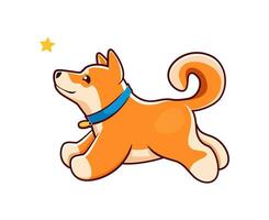 Karikatur Shiba inu Hund fangen Stern, kawaii Haustier vektor