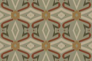 ikat paisley mönster broderi bakgrund. ikat bakgrund geometrisk etnisk orientalisk mönster traditionell. ikat aztec stil abstrakt design för skriva ut textur, tyg, saree, sari, matta. vektor