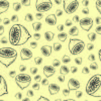 Zitrone nahtlose Muster vektor