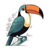 toucan fågel. hand dragen vektor illustration isolerat på vit bakgrund.