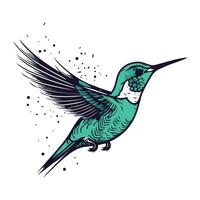 kolibri hand dragen vektor illustration. isolerat på vit bakgrund.