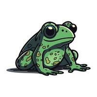 Frosch. Vektor Illustration. isoliert auf ein Weiß Hintergrund.