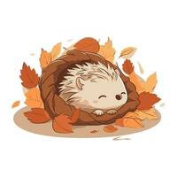 süß Igel Schlafen im das Herbst Blätter. Vektor Illustration.