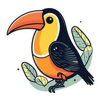 toucan fågel. hand dragen vektor illustration isolerat på vit bakgrund.