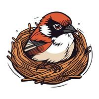 Vektor Illustration von ein Gimpel Vogel Sitzung im ein Nest.