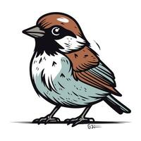 Spatz. Vektor Illustration von ein Spatz auf ein Weiß Hintergrund.