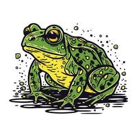 Frosch. Hand gezeichnet Vektor Illustration. isoliert auf Weiß Hintergrund.