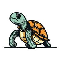 Schildkröte auf ein Weiß Hintergrund. Vektor Illustration im Karikatur Stil.