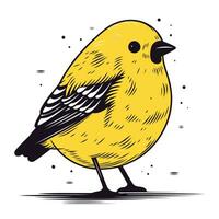 Vektor Illustration von ein süß wenig Gelb Vogel auf ein Weiß Hintergrund.