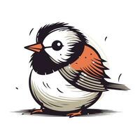 Spatz Vogel auf Weiß Hintergrund. Vektor Illustration von ein Vogel.