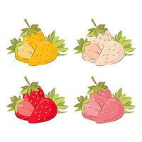 uppsättning av vektor illustrationer av en sammansättning av jordgubbar, annorlunda färger.