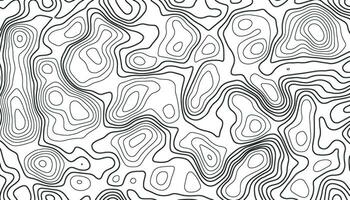 Hintergrund von das topografisch Karte. Elevation Konturierung Gliederung Kartographie Textur. geografisch abstrakt Netz. futuristisch Drahtmodell Landschaft Hintergrund. schwarz und Weiß nahtlos Muster vektor