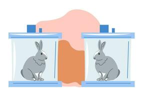 kloning och genetisk modifiering av kaniner harar vektor